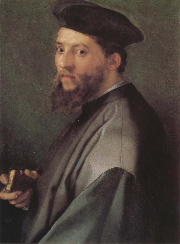 Andrea del Sarto Portrait of ecclesiastic china oil painting image